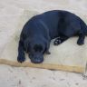 DSC07777.JPG