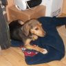 DSCN0644555.jpg