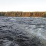 photo_00195.jpg