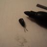 DSC01096.JPG