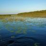 WP_20140731_007.jpg