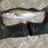 WP_20130701_005.jpg
