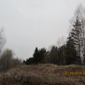 IMG_4419.JPG