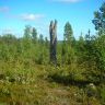DSCN2935.JPG