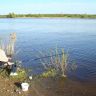 DSC02094.JPG