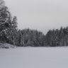 photo_00387.jpg