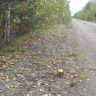 SDC10142.JPG