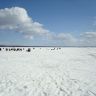DSC03468.JPG