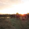 IMG_1176.jpg