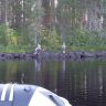 IMG_20140805_183041.jpg