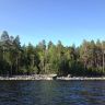 photo_00313.jpg