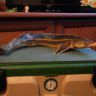 IMG_20160109_142433.jpg
