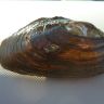 photo_00037.jpg
