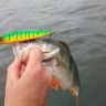IMG_20160910_103959.jpg