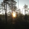 photo_00064.jpg