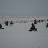 DSC_1049.JPG