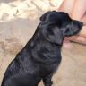 DSC07596.JPG
