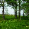 SDC12060.JPG