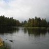 IMG_0979.JPG