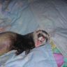 DSCN2569.JPG