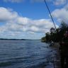 DSC01083.jpg