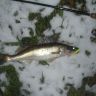 DSCN5072.JPG