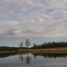 DSC_0139.JPG