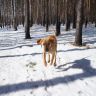DSC00110.JPG