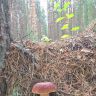 photo_00038.jpg