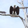 DSC00962.JPG
