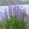 photo_00366.jpg