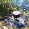IMG_20140803_140446.jpg