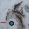 IMG_2666.JPG