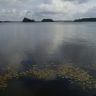 DSC02646.JPG