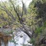 SDC10036.JPG