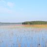 DSC_0724.JPG