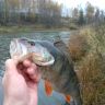 IMG_20121016_122512.jpg