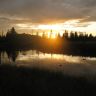 z_689680f6.jpg