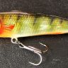 China Perch