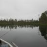IMG_0020.JPG