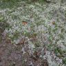 DSC02944.JPG