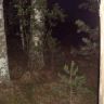 DSC04035.JPG