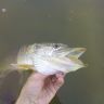 23082011266.jpg