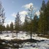 photo_00353.jpg