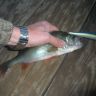 DSCN5813.JPG