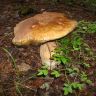 DSC02598.JPG