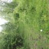 20180613_175044.jpg