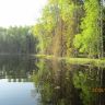 IMG_0170.JPG
