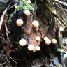 20180713_073745.jpg