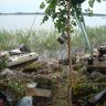 DSC02930.JPG